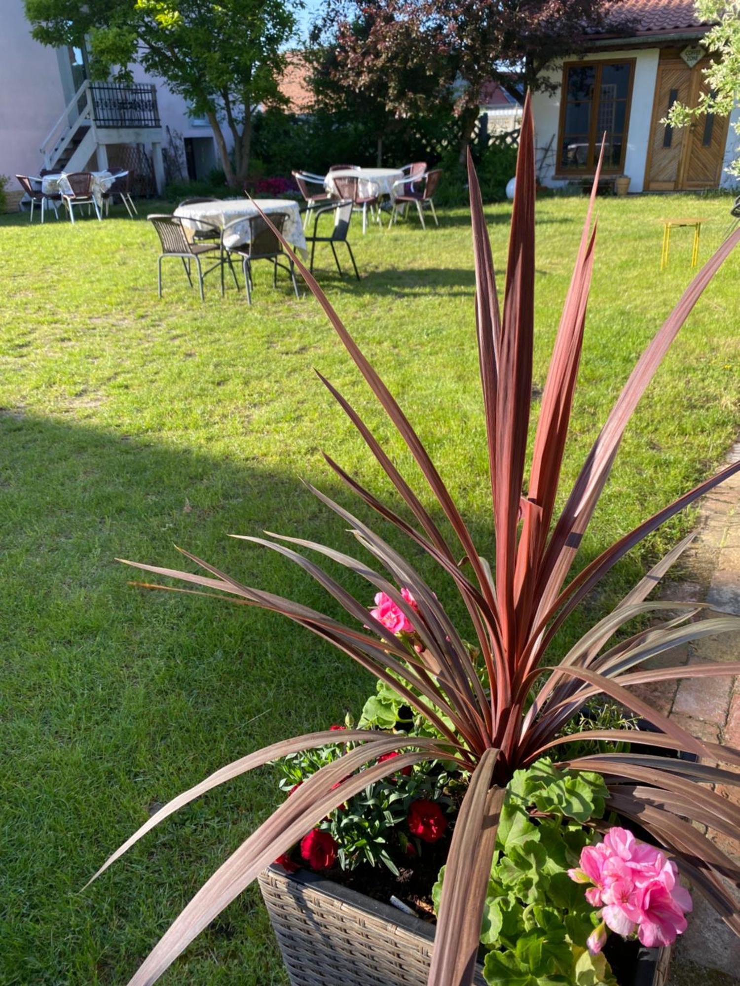 Guest House Wiejska Sielanka Brody  外观 照片